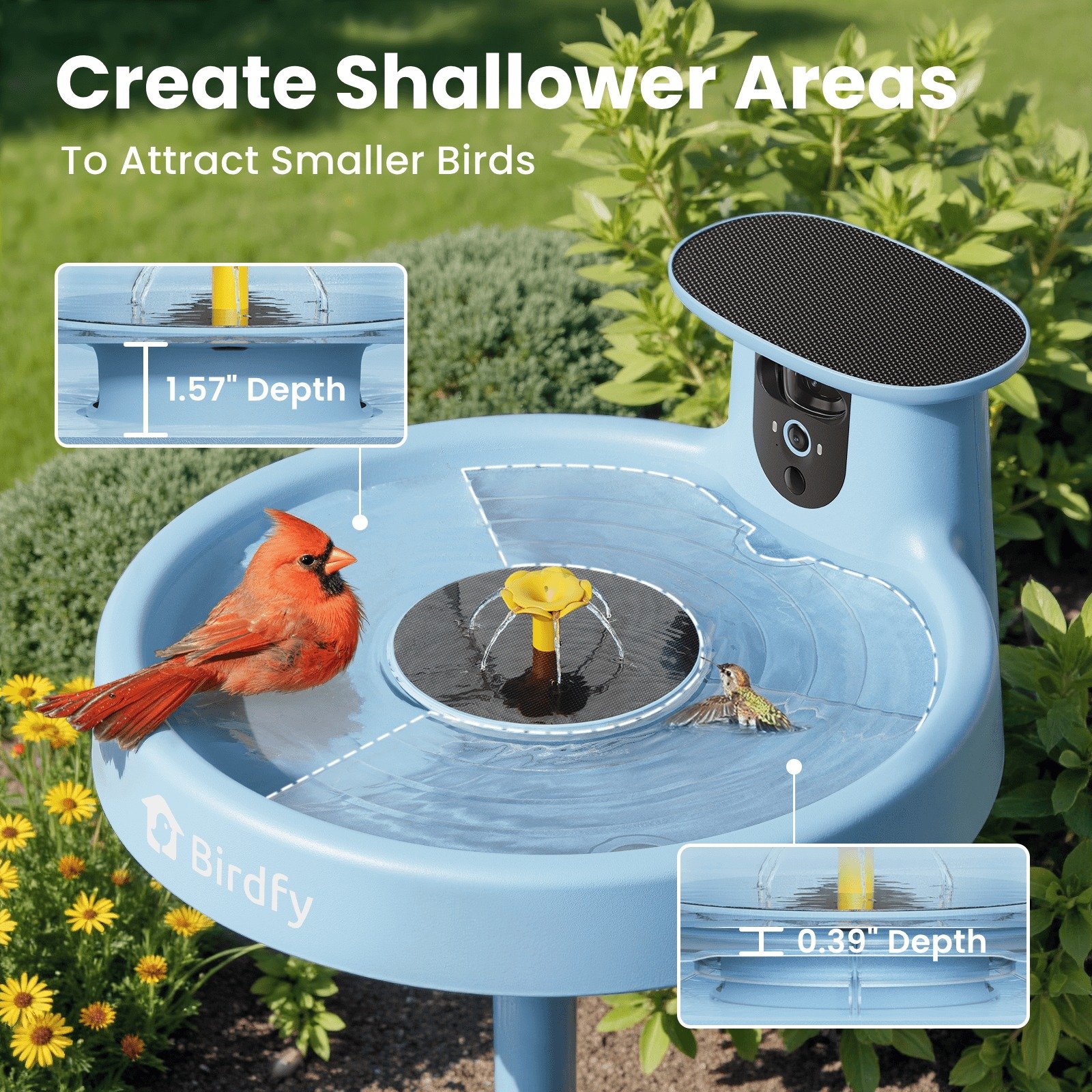 Birdfy Bird Feeder Reviews