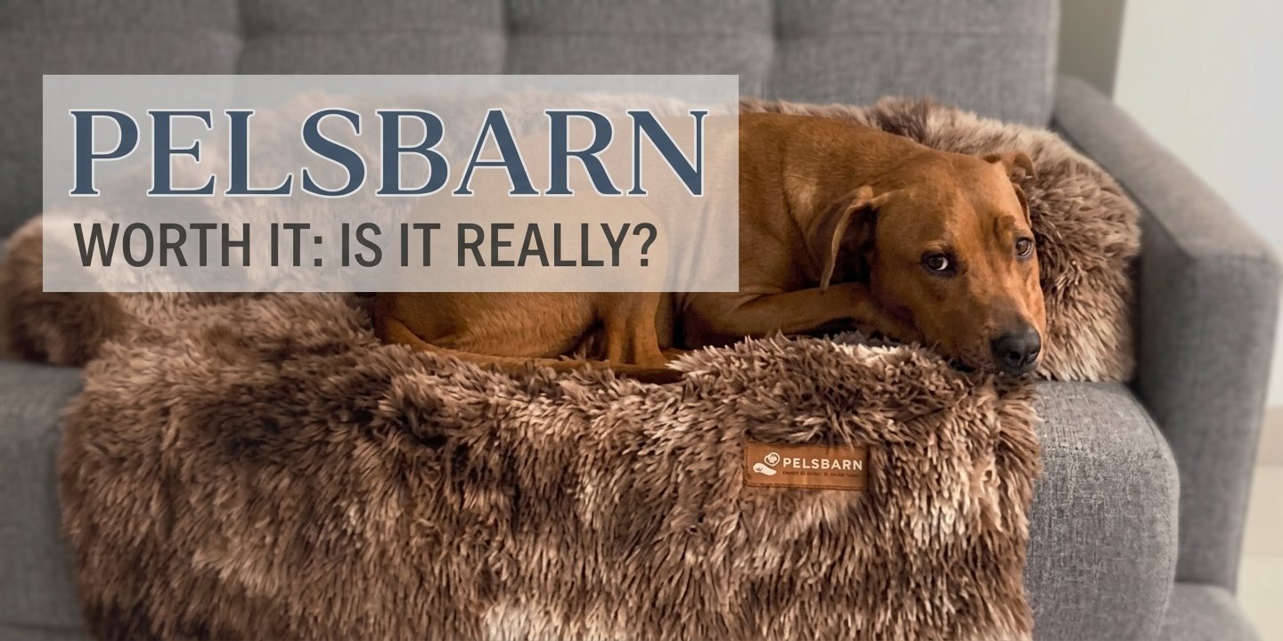 Pelsbarn: Worth It?